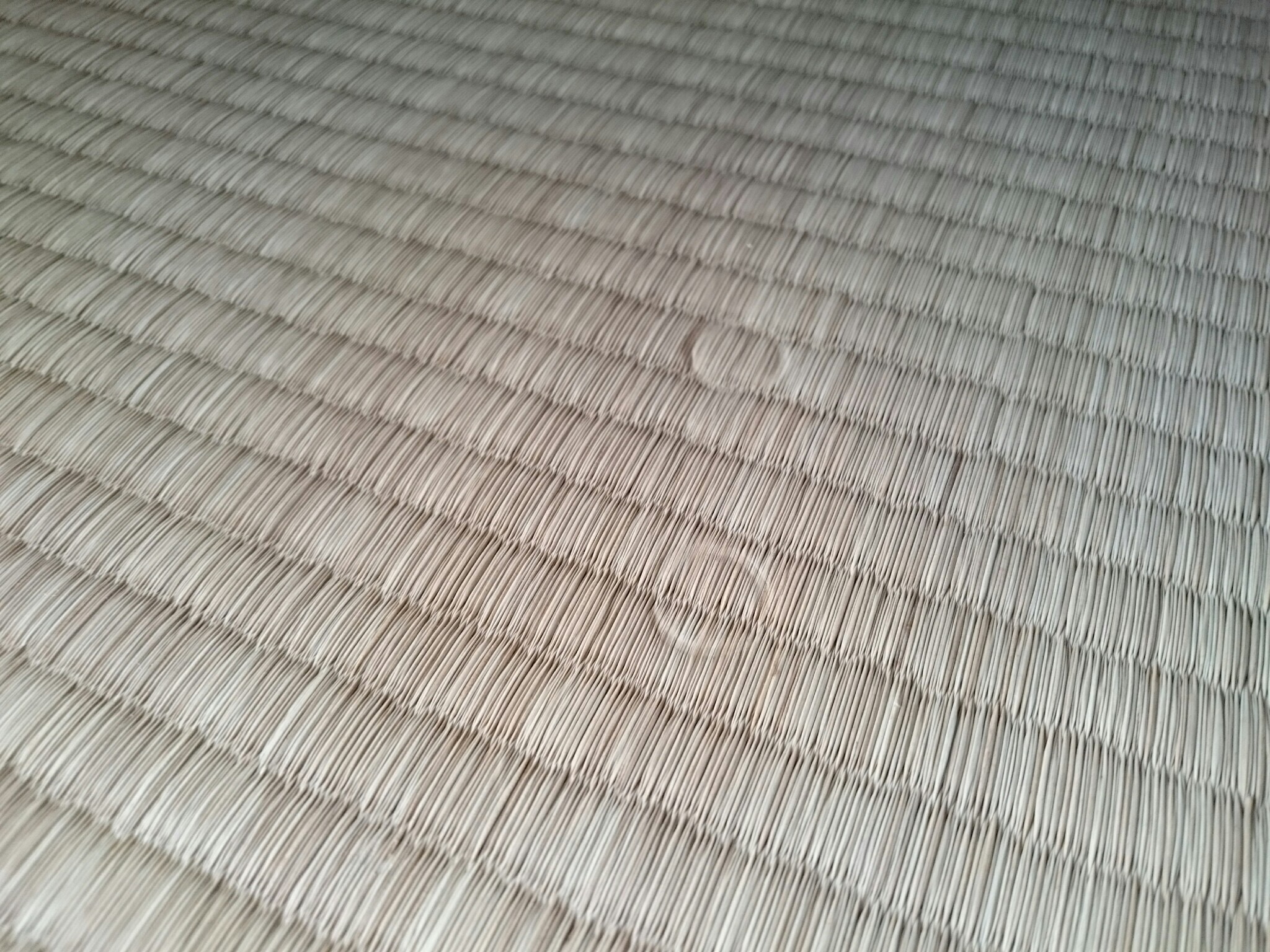 ありゃ～、畳にテーブル足の痕がついちゃったよ～～。